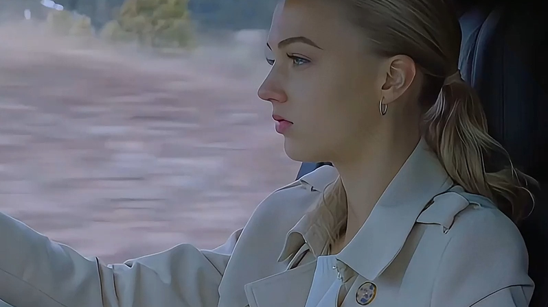 免费注册流程示意